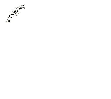 কেন্দ্রীয় ফোরাম