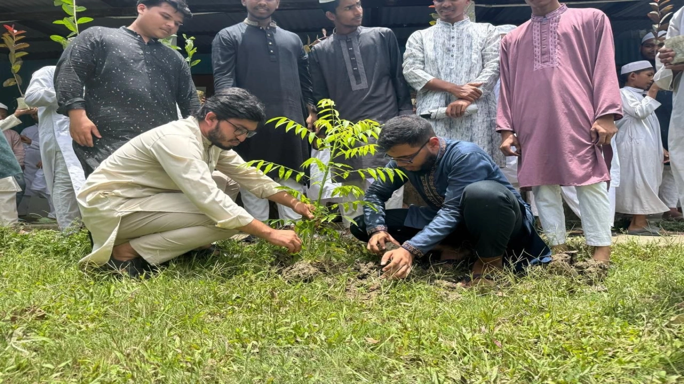 বৃক্ষরোপণ